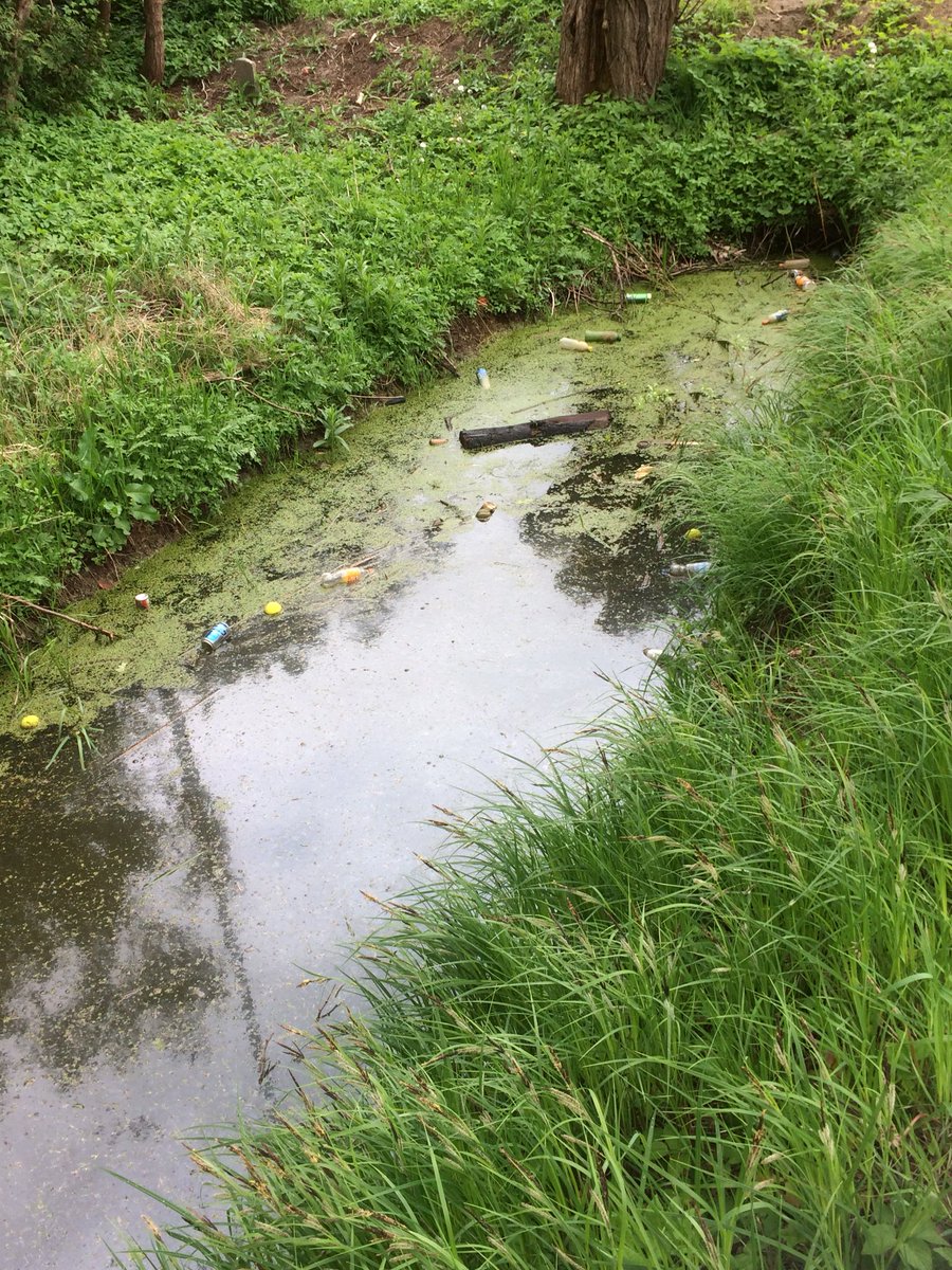 edwinuitzwolle's tweet photo. #kingdance the day after ...#compliment aan bezoekers die #afvalbakken wel wisten te waarderen en jammer van de #losers die #plasticsoup vergroten |@Gemeente_Zwolle @ROVAzwolle ik heb een #schepnet nodig voor drijvende #zwerfies #kamperweg @TientjeStientje rekening volgt .. https://t.co/wHecPaEGSZ