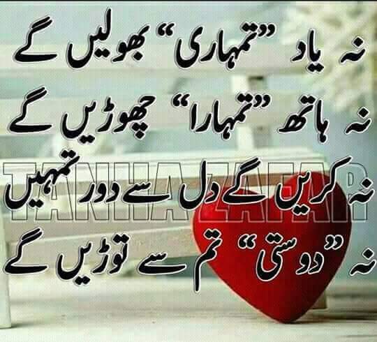 BalochModel's tweet photo. @Majid_PSF https://t.co/qvLccioCs0