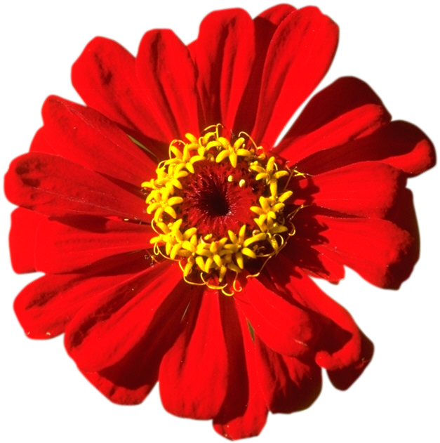 #Wellbeing #Gwóźdź w nodze Opowiem #bajkę #kawa #leczenie #etyka #Zeitgeist #comfortzone goo.gl/bmKCgA