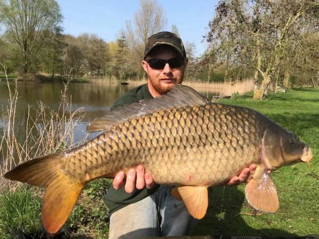 BigFishBaits's tweet photo. The first 4 of 11 for Team Member Matt Witte @WitteWitdog who fished on a social at hinderclay with fellow Team Members Garrie Lee Fowler, Dave Wolstenholme and Stuart Petty. Matt fished our NEW #TestBait Snowman style with a 12mm #MilkOne topper with added #SalmonOil https://t.co/mNl7SZIv9J