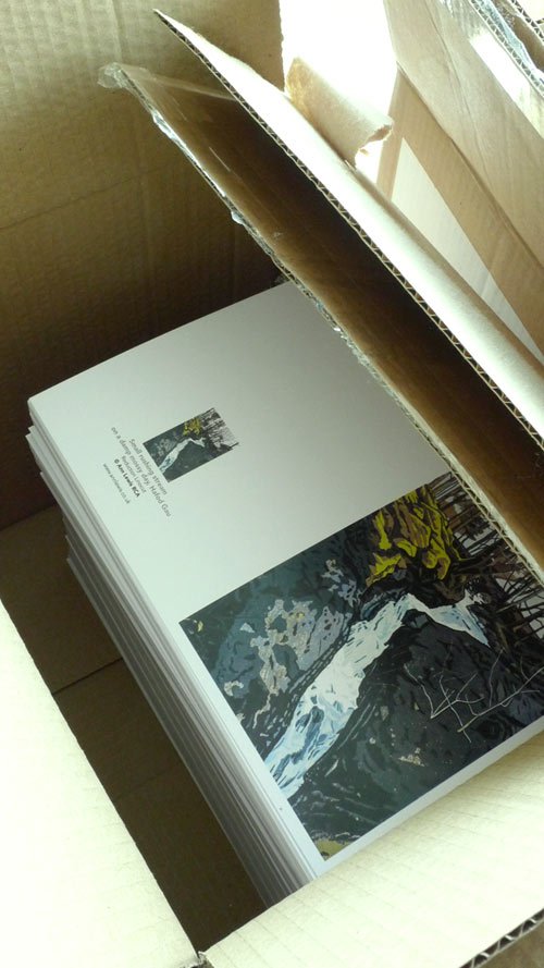 annlprintmaker's tweet photo. That "Ooooo, please - let the colours are Ok" moment when I open boxes of brand new cards. And exhale ....all three are spot on #Presipe #FreshwateEast #hafodGau #artistscards https://t.co/7VON5VeYgB