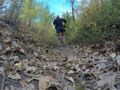 TeamBrentButler's tweet photo. Photo By Kyle Kranz | Unsplash 
 #fitnessaddict #fitnessjourney #fitnessgirl #fitnesslife #fitnessfreak https://t.co/G53hhmgg1W