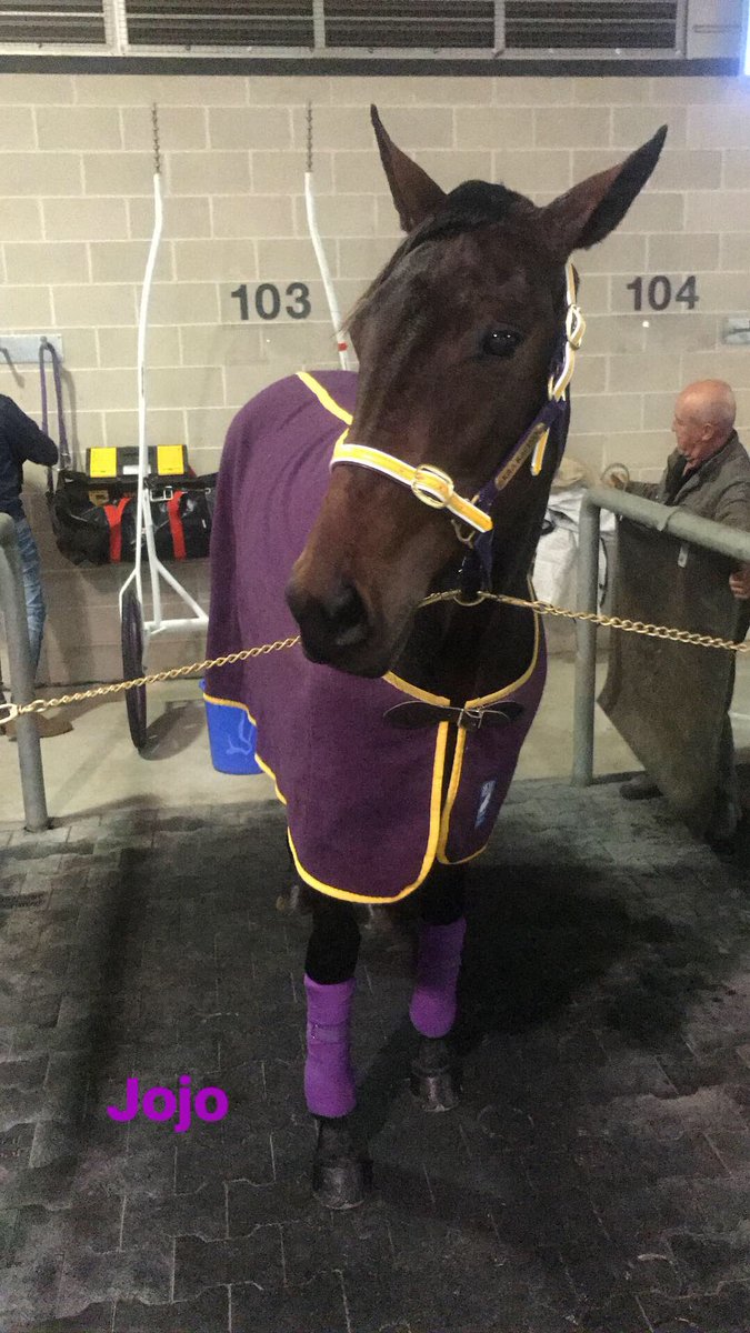 Gaby98134347's tweet photo. Such a good run by Jojo, we are so proud of her for making it this far! Her little legs have never run so fast. Great drive @albieashwood 💜💛 https://t.co/LTjCwLUpo8