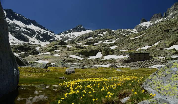 Así es la primavera de Gredos. Por el contrario a las predicciones meteorológicas, estamos teniendo un tiempo maravilloso. Las predicciones meteorológicas no aciertan una... <a href="/AndandoGredos/">Andando Gredos</a> <a href="/LaGalamperna/">La Galamperna</a> <a href="/gredosdaniel/">SOLES DE GREDOS</a> <a href="/DestinoGredos/">Destino Gredos</a> <a href="/sonsoles_ph/">Sonsoles Prieto Hernández 💛</a> @jrodriguezwt