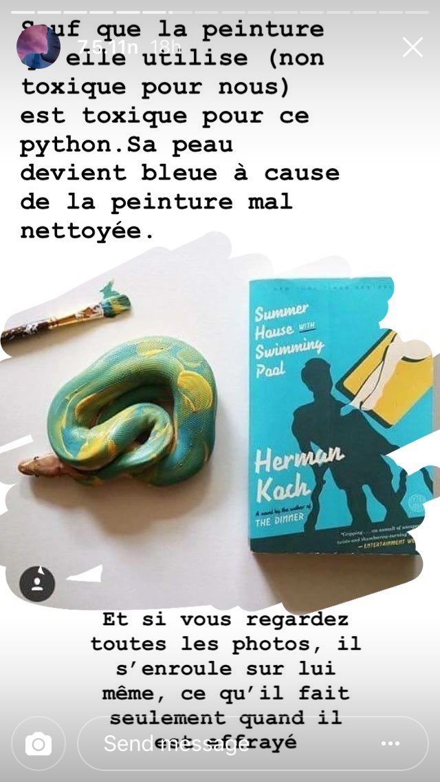 avalanchedemots's tweet photo. ⚠️ SIGNALEMENT DE COMPTE INSTAGRAM ⚠️ Si vous avez Instagram, allez signaler ce compte s’il vous plaît, c’est très important : cette personne maltraite clairement un python et pour ne pas la laisser agir en toute impunité, signalez ce compte, merci d’avance ! https://t.co/bsKFHit4C9