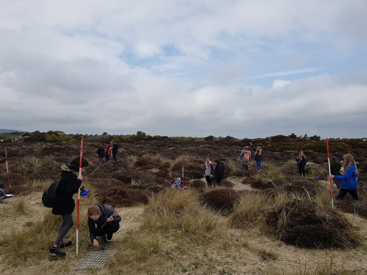 RomseyGeography's tweet photo. Sand dune transects with yes... A hint of BLUE SKY! #sandunes #leesonhouse #stillnotraining #geographyfieldwork https://t.co/MbipIqZEsE