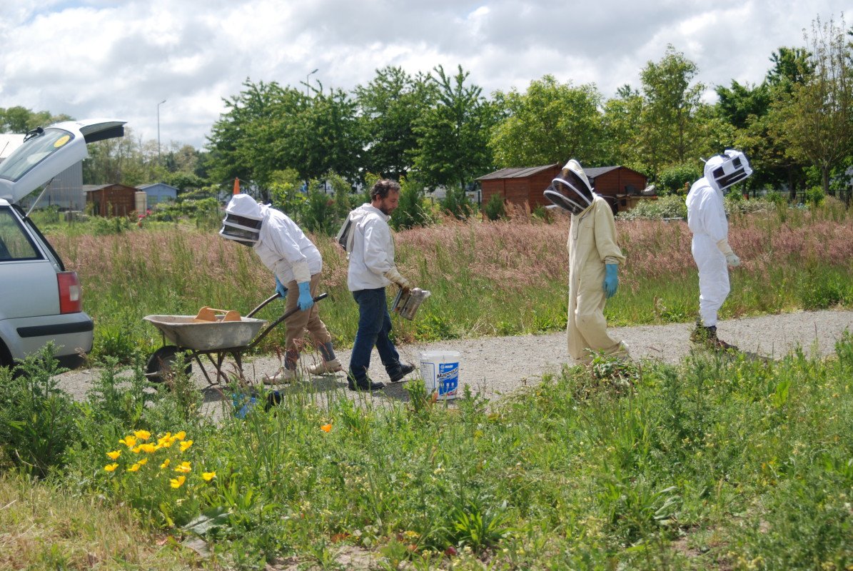 Je salue l'interdiction par l'#UE de 3 #néonicotinoïdes. C'est une très bonne nouvelle pour l'#apiculture, la #biodiversité et notre #alimentation. #Bléré en #Touraine Ville Amie des #Abeilles <a href="/UNAFapiculture/">UNAF Apiculture</a> <a href="/moreaujb23/">Jean-Baptiste Moreau</a> <a href="/AgriEnMarche/">AgriculturesEnMarche</a> <a href="/StTRAVERT/">STEPHANE TRAVERT Avec Vous</a> #miel facebook.com/danielabaronne…