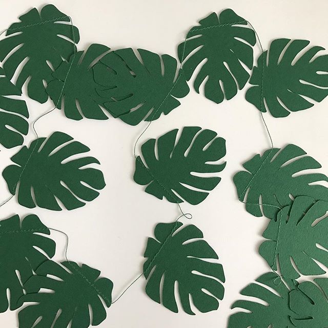 OrchardCraft's tweet image. My monstera leaf garlands are perfect for accessorising a tropical theme, or even just for hanging up in your workspace! #monsteraleaves #workspacedecor #tropical #partydecorations #tropicalplants #homedecor etsy.me/2HELtEN ift.tt/2KkafeU
