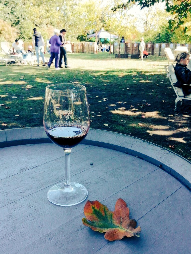 MarykeRoberts tweet media