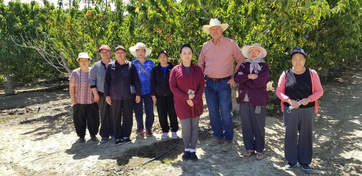 JoeDelBosque's tweet photo. Yesterday we had elders from the #Hmong community of Merced visit our farm. #buildingunderstandingbetweencultures #HealthyHouse #MATCHcoalition https://t.co/BIJlW7fjrY