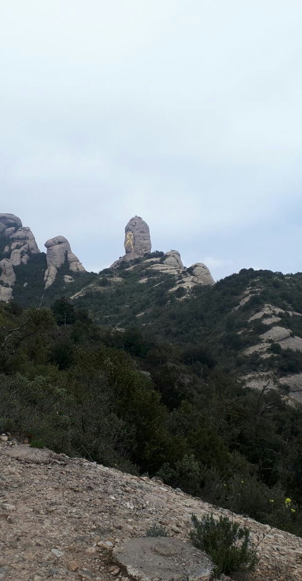 Avui hem posat un llaç groc en record als nostres #PresosPolítics #Montserrat #SEdlR #Seguim