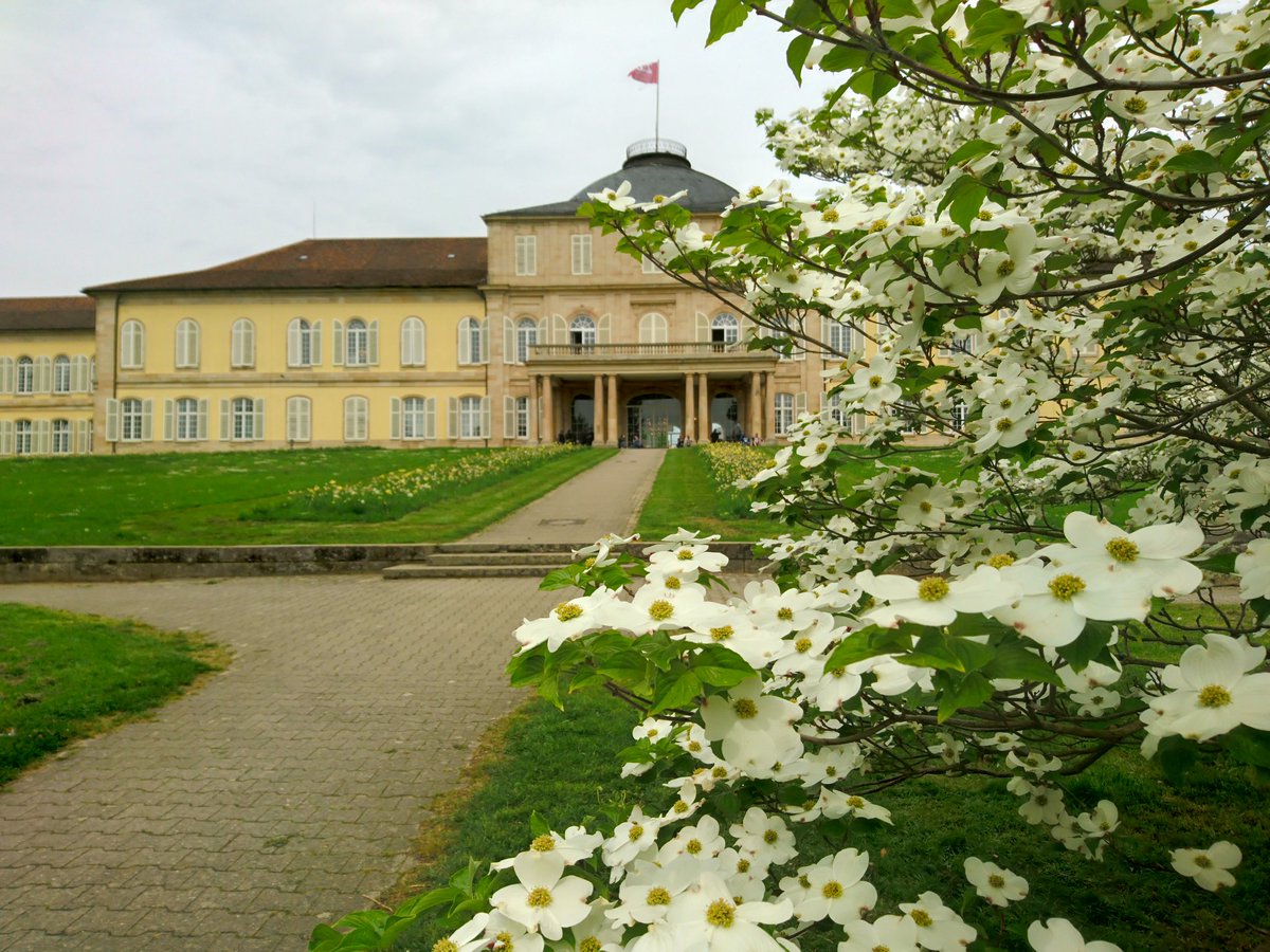 bunnyfield's tweet image. #t3cs location #TYPO3 Spring Camp Stuttgart