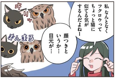 まあるくねむる:第69話「似てる動物」 #oshietegoo https://t.co/FBWu7mt9FB 更新日でした よろしく 