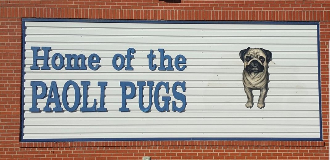 AndreaRenae1's tweet photo. There is a school in OK that their mascot is a PUG! Now it's time to convince @jayhawk_03 to coach there😍 https://t.co/tCPDJKsS4Q