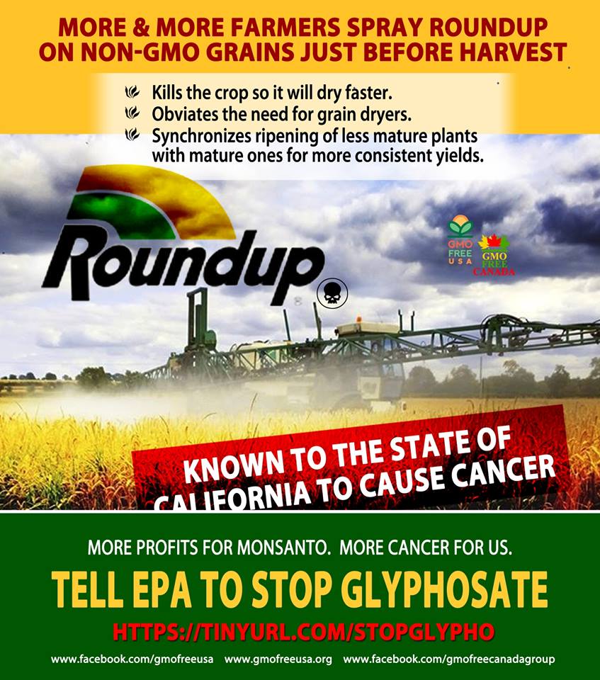 GMOFreeUSA's tweet photo. Tell the EPA to stop the madness and ban glyphosate. This carcinogen does not belong in our environment, in our food, or in our bodies. The deadline for comments is Monday, April 30 at 11:59pm. COMMENT to the EPA today: https://t.co/cGJ1zrfqp2 https://t.co/RPOL4pdv4V