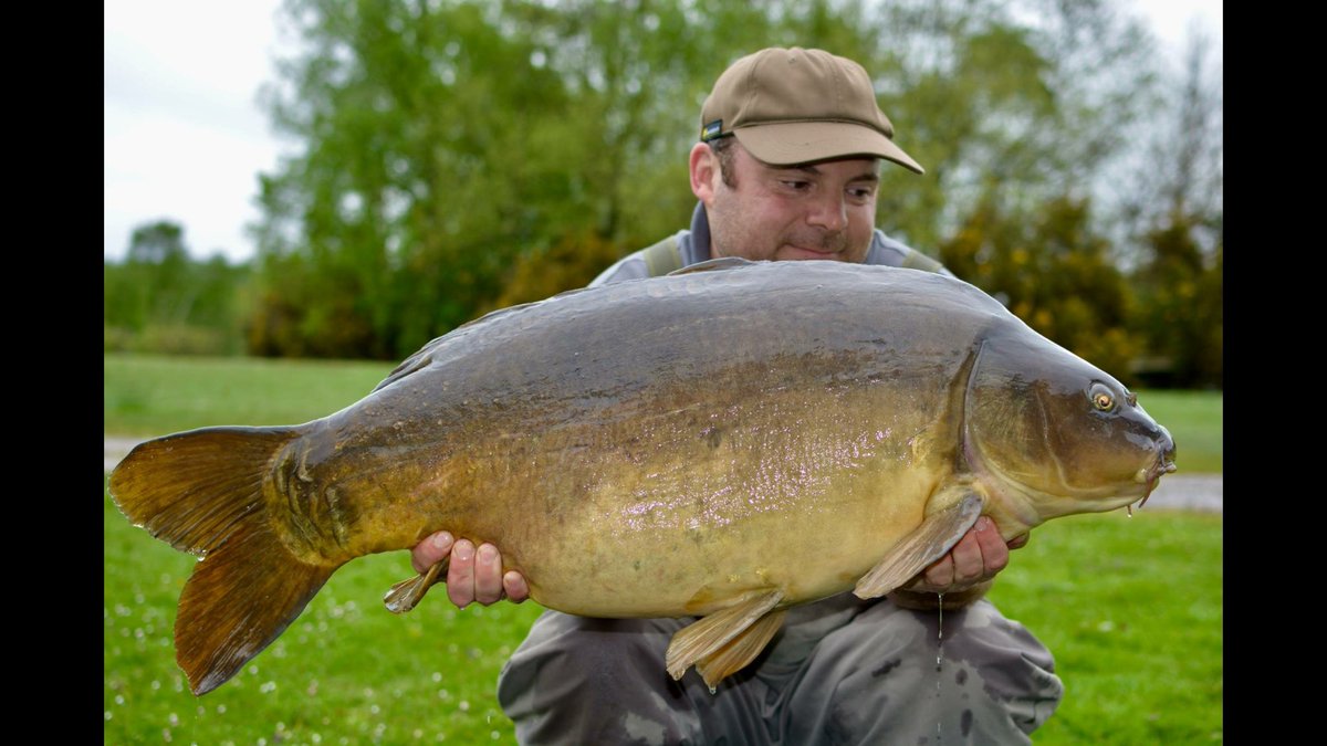 ClintBullo's tweet photo. Nice start to the morning with a 36lb8oz mirror 😀essentialb5 do the job https://t.co/nsco2101ur