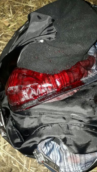 Ver imagem no Twitter