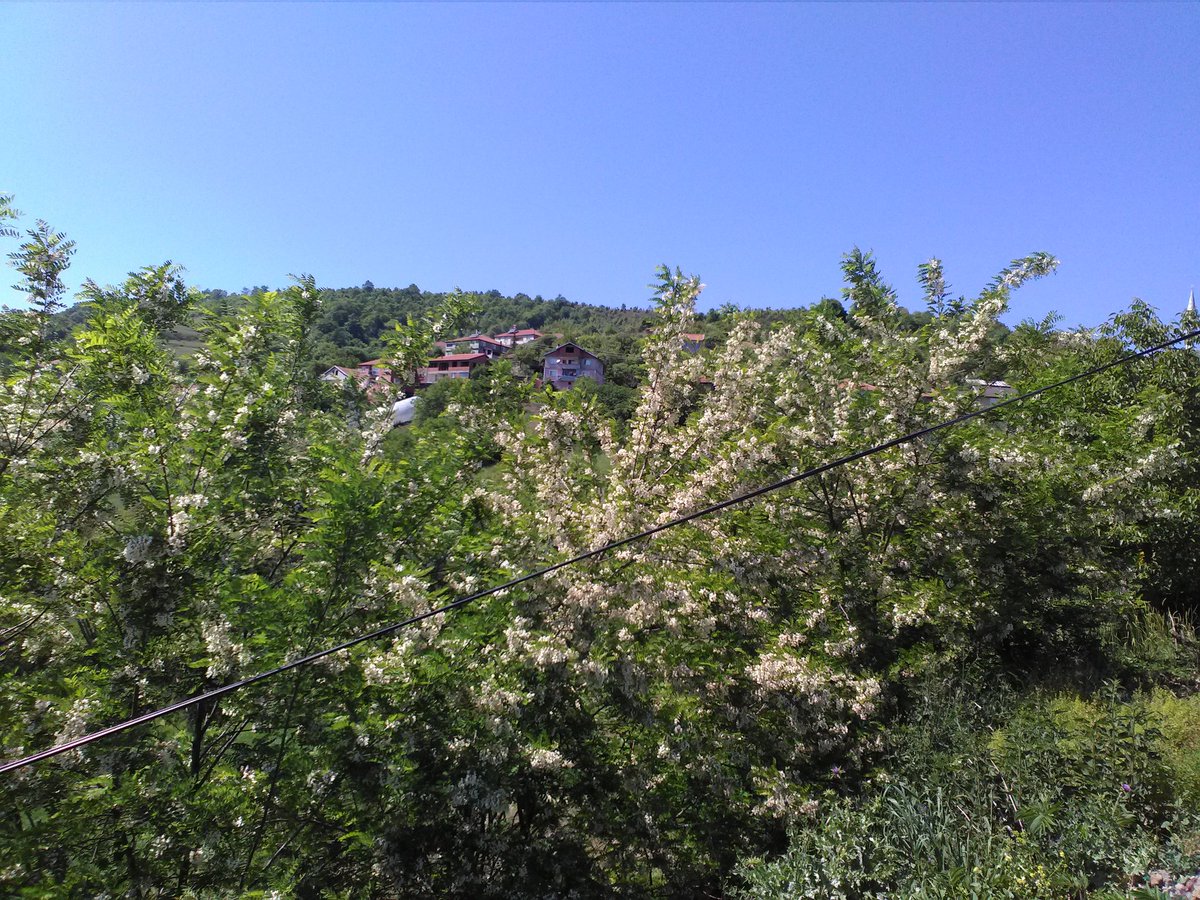 YusufKarakok's tweet photo. @meralunur @KaranfilKenan @TRTFM @eskikafaeski ZONGULDAK ÇAYCUMA KAYABAŞI KÖYÜMDEN SELAM HAYIRLI GÜNLER MERAL ÜNÜR 🙂 https://t.co/TZt8KDxtdd