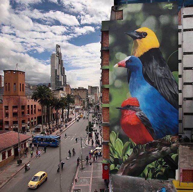 TeamBrentButler's tweet photo. Reposting @trip.grafias:
#StreetArtCol Aves 🇨🇴, ubicación Centro de Bogotá, Cr 7#24, .
.
👨‍🎨 @dmentalgraffitipro Bogotá, Colombia 🇨🇴 @idartes
.
.
➡️ Fotografía de @mantrarea 📸 👌🏻
.
.
.
#Streetart #arteurbano #artwork #artecallejero #colombianostravel #traveler https://t.co/YvcXTzUdV3