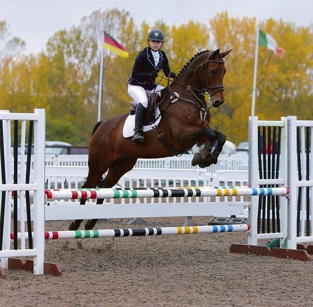 UoNRiding's tweet photo. Next up in our regionals team is our incoming captain Abi. She started as a dressage rider in Holland before moving to the UK to take up eventing! 🇳🇱🇳🇱🇳🇱#greenandgold #BUCSEquestrian https://t.co/eyrbp5GqtV