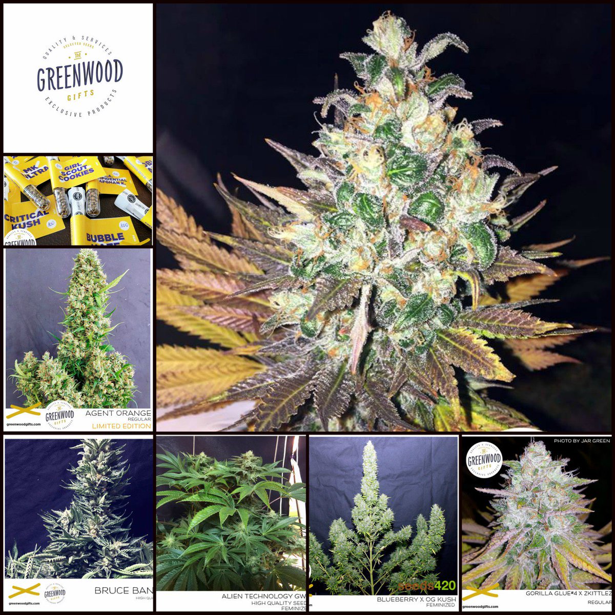 rebecaoghydro's tweet photo. Sin Palabras Gran Trabajo 🤗🤗🤗🤗🤗🤗🤗
🔥🔥🔥 GREENWOOD GIFTS 🔥🔥🔥
#QRHMS Ya tenemos en nuestro poder algunas de estas 😍😍
@GreenbudSeeds https://t.co/XcD55x7zJC