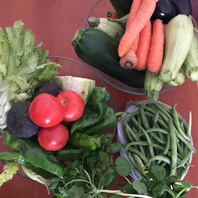 estersinh's tweet photo. Días de mercadillo #colores #vegetales #shopping #planningtheweek #nuevoshábitos https://t.co/dtvYPjZt9x https://t.co/Niw589SwQW