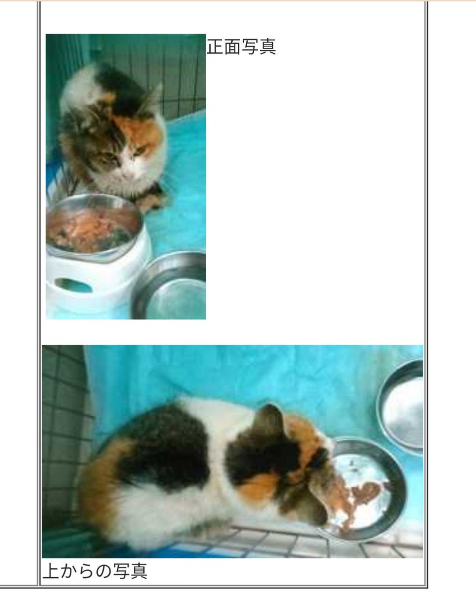 置賜保健所 Twitter Search