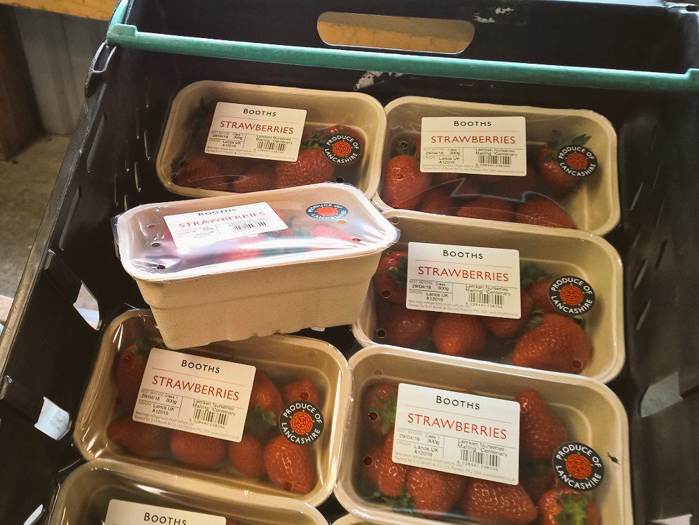 A Plastic Planet tweet media