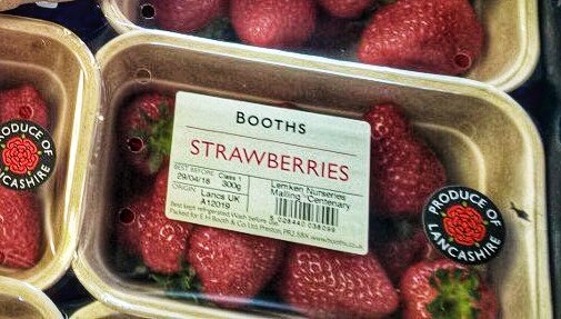 A Plastic Planet tweet media