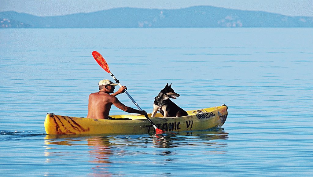 XgearHub's tweet photo. Best Kayak for Dogs 2018 https://t.co/Z1glEd7Kox https://t.co/R5Fv3vUjS4