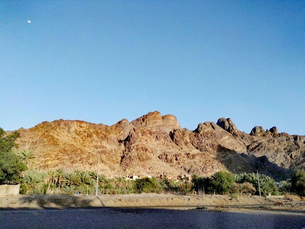 harbb51's tweet photo. #قريه_المضيق_بوادي_الفرع_بدون_اي_خدمات_ومشاريع_تنمويه
لاإناره،لاسفلته،لانظافه،لاحدائق،لاتنظيم،لاترميم،
لاترصيف،لالوحات إرشادية،لامياه تحليه،لاصرف صحي،لاهاتف،برج جوال ضعيف،مستوصف ومدرسه متهالكه!!
معدومه الخدمات في جميع الأحياء والنزل بالقريه 
. 
@imarat_almadina 
@AmanaAlmadinah https://t.co/aa86g9CWQN