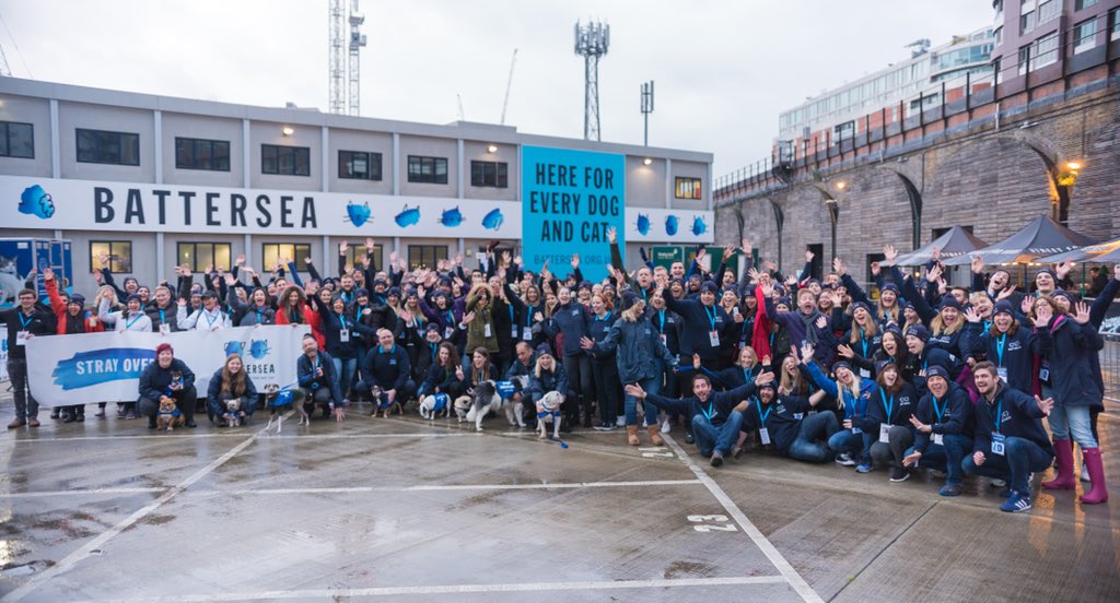 Battersea_'s tweet photo. Huge congratulations to all the brilliant teams who took part in our #StrayOver event in London last night. Thank you for braving the elements on behalf of our dogs and cats. 💙 https://t.co/iNozbhKumD
