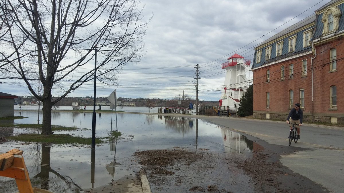 ddrost's tweet image. Fredericton downtown library #Fredericton