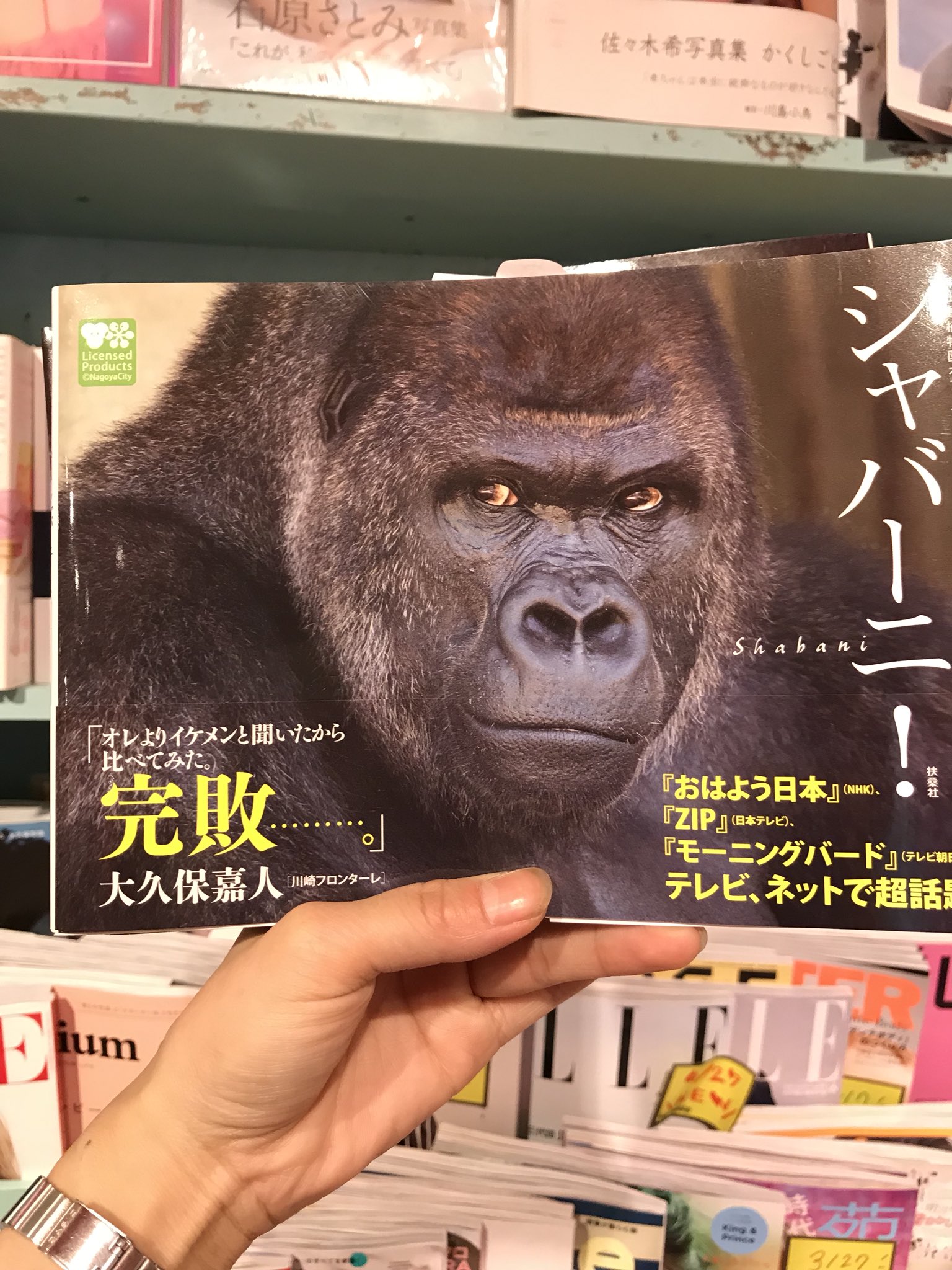 ヴィレッジヴァンガード渋谷本店 このクールな目つき くっと上がった口角 りりしい眉毛 ゴリラが人類惚れさせにきました イケメンゴリラの写真集シャバーニ 入荷 T Co Daxsp95yqv Twitter