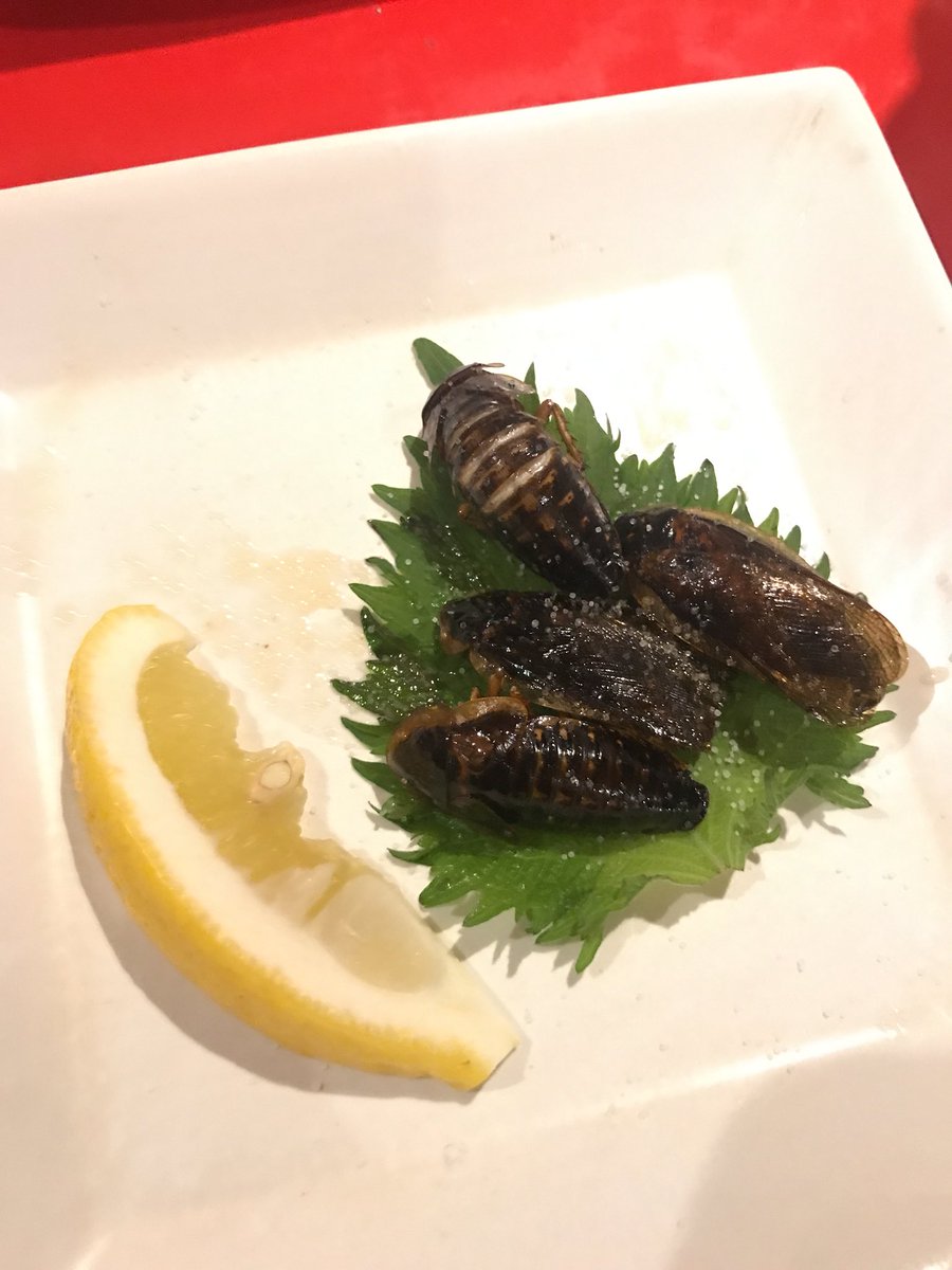 ミリオンのアキｐ Auf Twitter 珍獣屋名物 ゴキブリの唐揚げ 珍獣屋