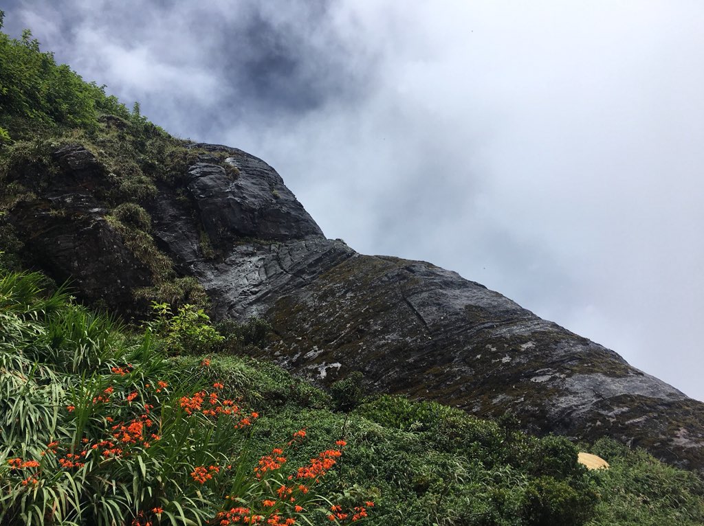 My_Eye_Captures's tweet photo. Beauty of the Sri Padha Erathna trail

#sripadha #adamspeak #lordbuddha #landscape #mountainclimate #mountain #a_my_eye_photo https://t.co/Lgkgn93xji