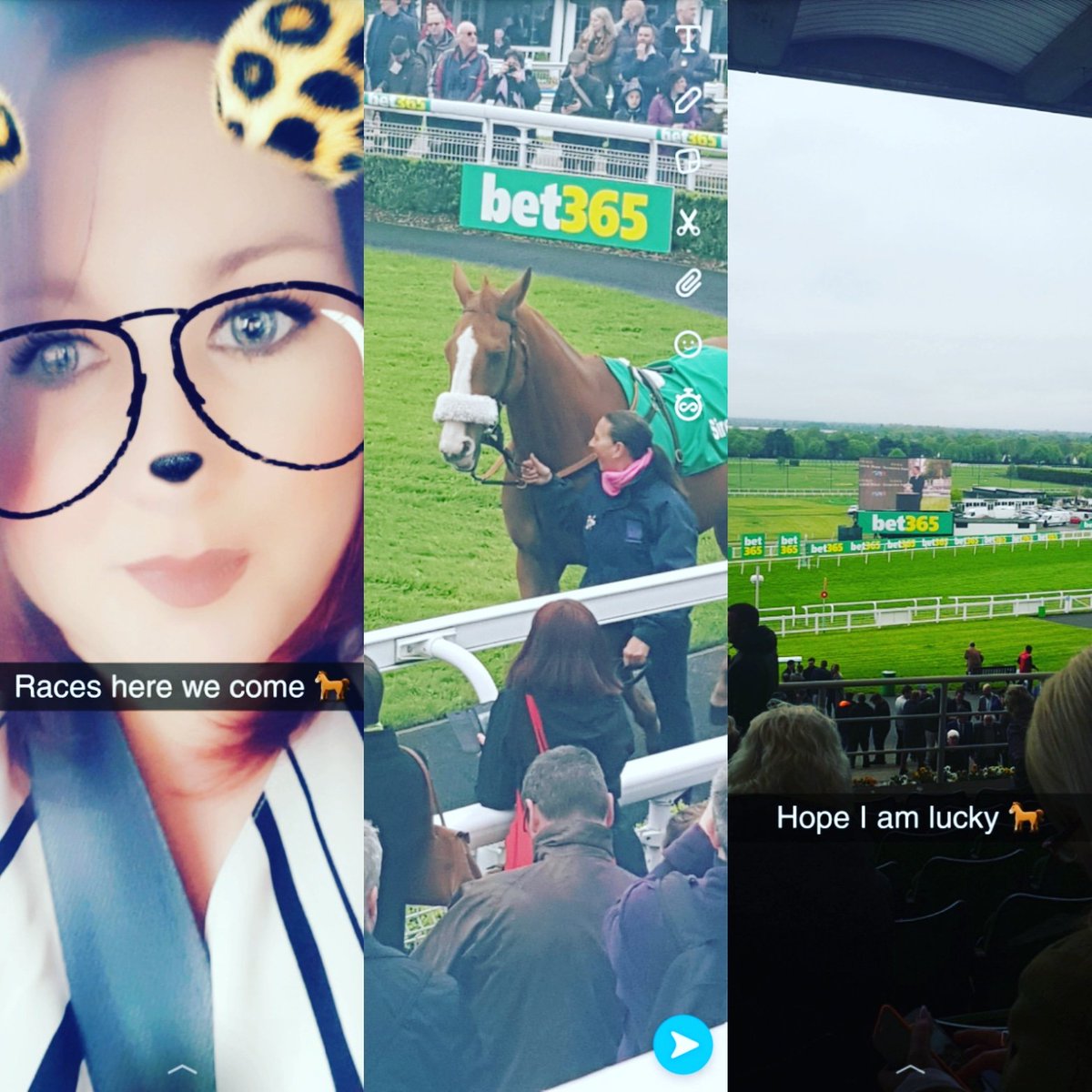 bet365 sports betting