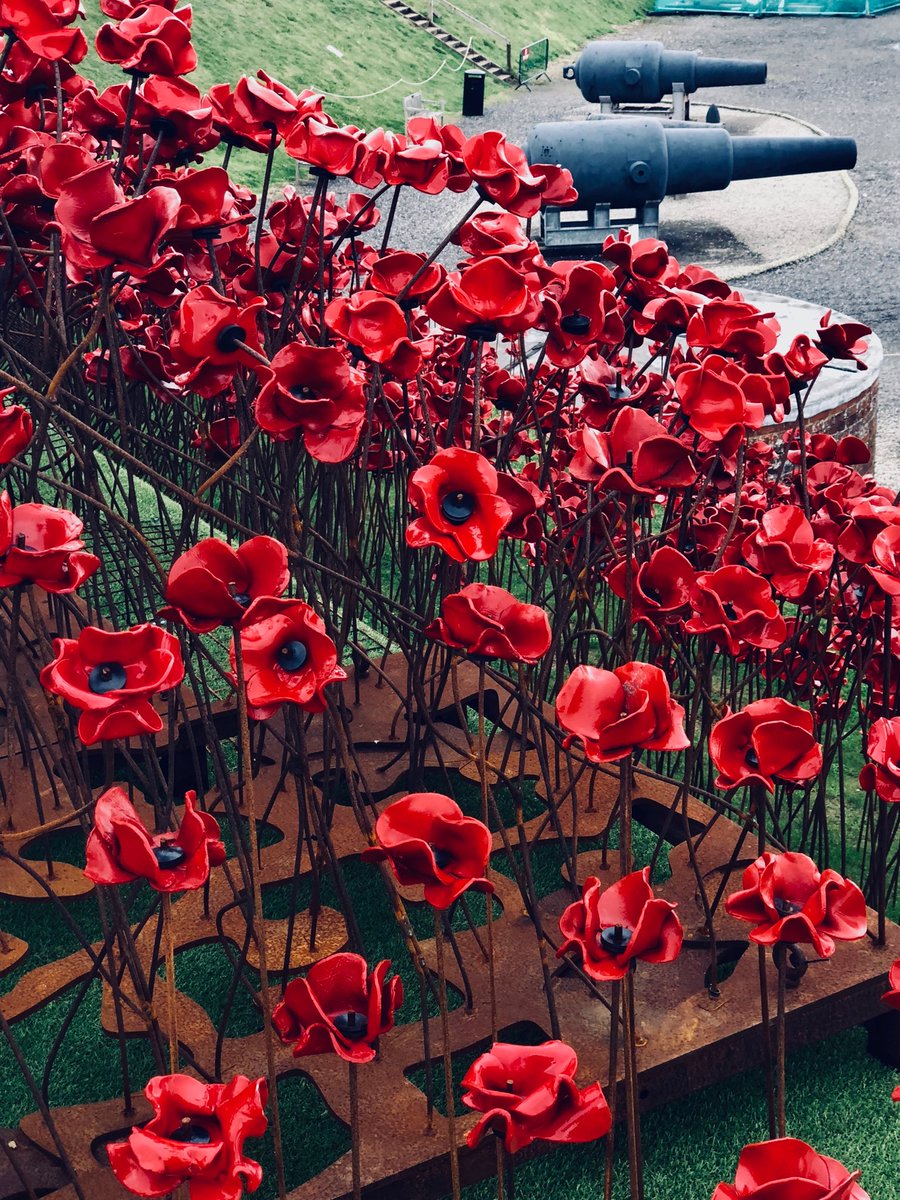 Here at Fort Nelson viewing the poppy wave.  It’s a great spot.  £3 for a carful.  #fortnelson #poppywave