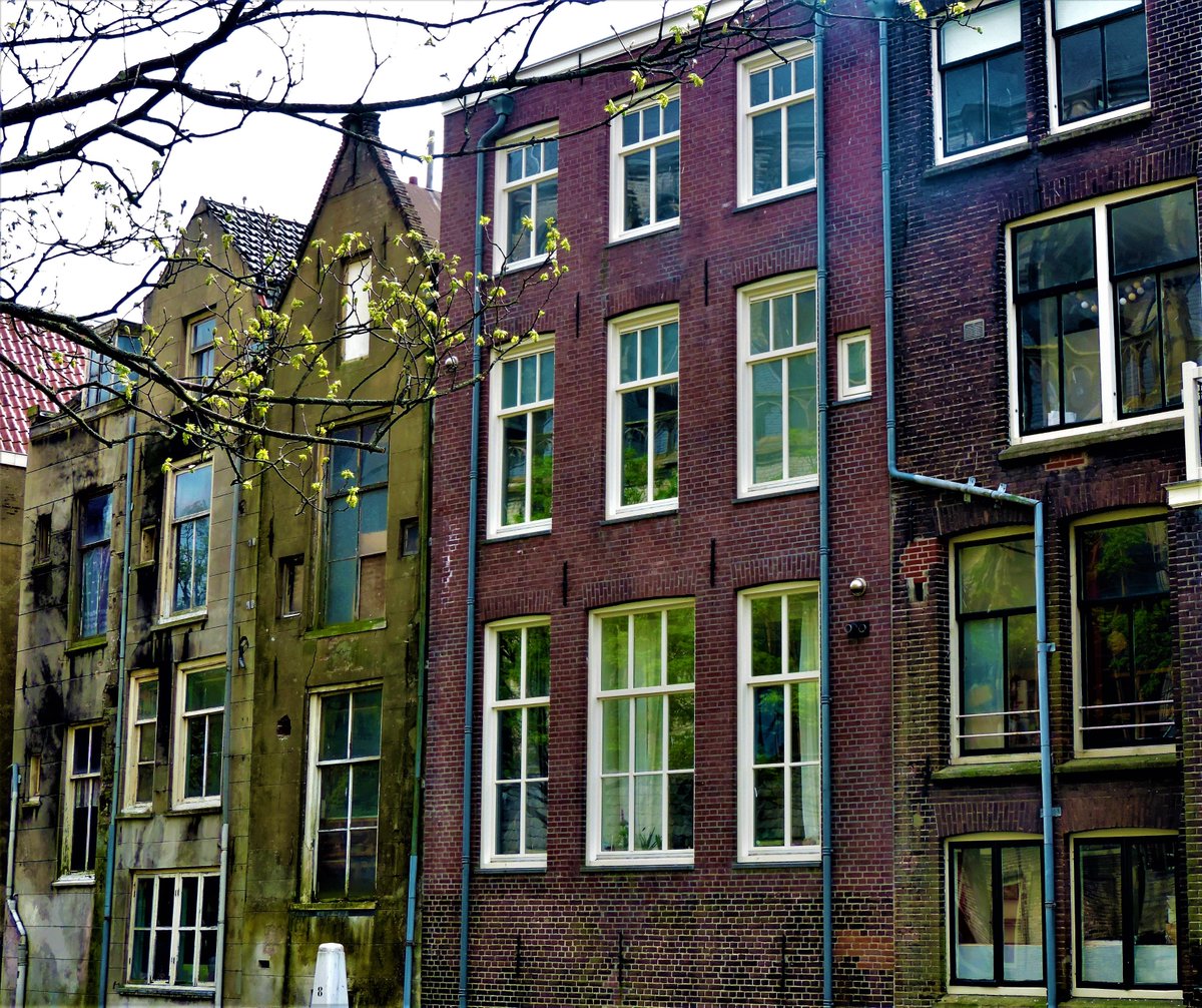 DonnieGreve's tweet photo. "Groen" #MeldpuntVerfraaiing #Pottenkade #Dordrecht https://t.co/HC9rO8aEfu