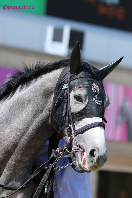 ぺんぎんさん Penguin66 18年04月 Page 2 Twilog