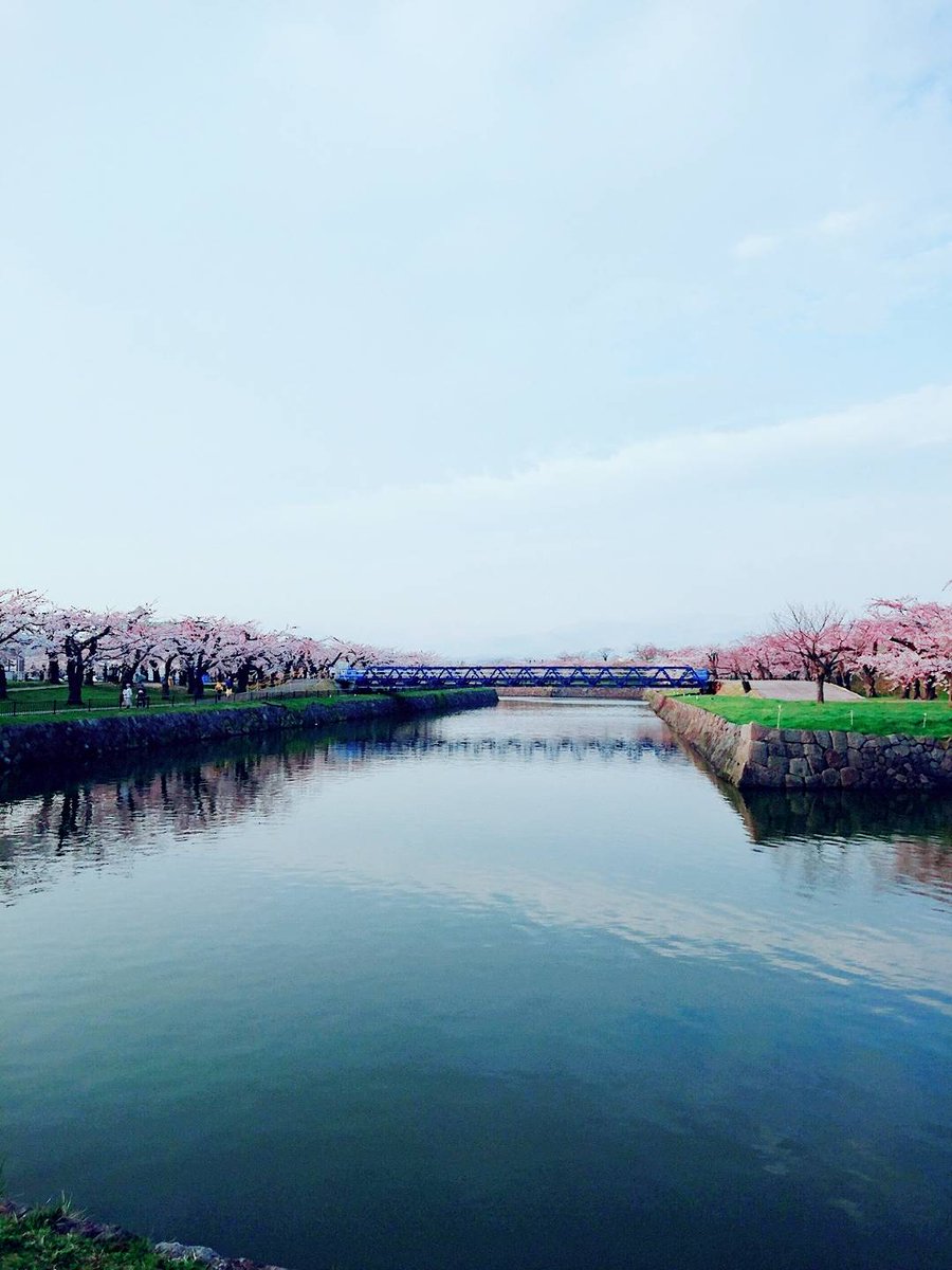 茉奈☆彡 tweet media