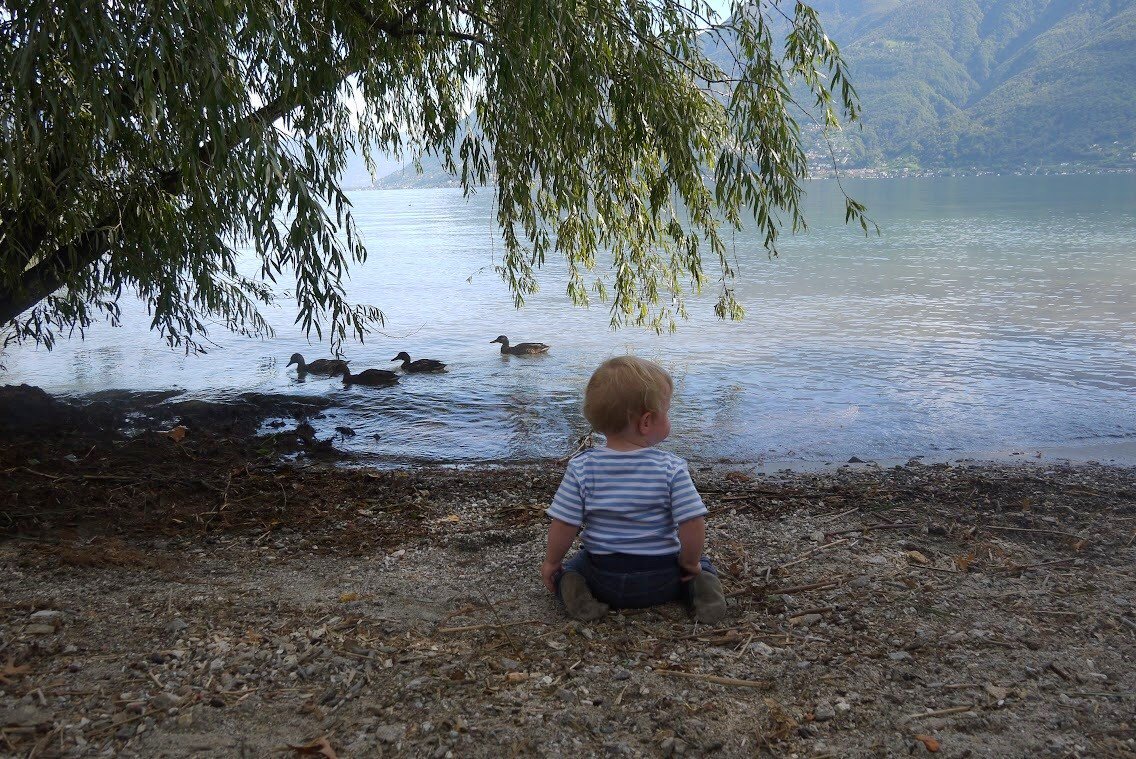 WWF_Schweiz's tweet image. "Näher reisen ist nicht nur ein öko-Tip, aber auch eine Garantie für Momente des Staunens und Entdeckens für die ganze Familie." #forgenerationstocome 
kleinstadt.ch/tessin-statt-t…