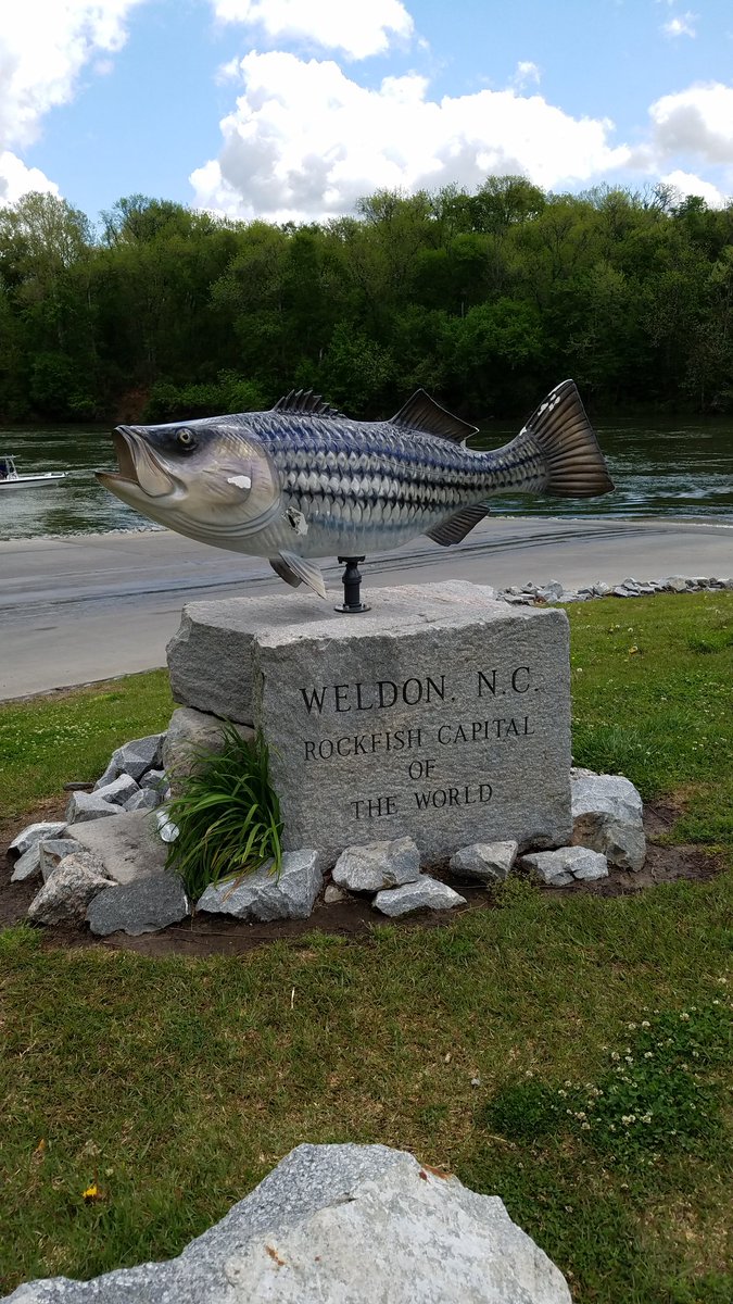 Kaley_Kiffner's tweet photo. It was beautiful day to help save a species and take a Friday trip to reconnect with nature! @pqschools #pqproud #here4a5 https://t.co/7YB5FModPd