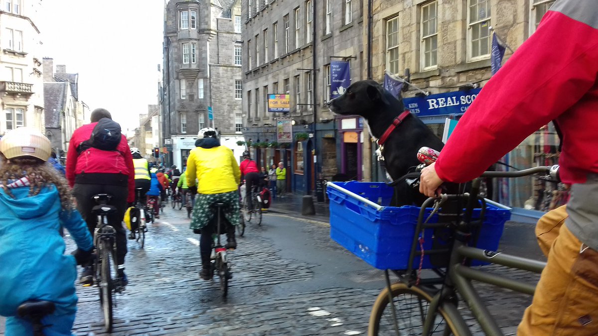 LaidBackBikes's tweet image. Another great @POPScotland - thanks to all involved! So many types of bike users including some with four legs! @edfoc @NazcaBikes @azubrecumbents @ThreeOnABike @SpokesLothian @ligfietsnet @LesleyRiddoch @lmacinnessnp @CyclingEdin @TheCycleService @theBicycleWorks @VeloVisionMag