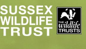 Seedy Sunday EB tweet media