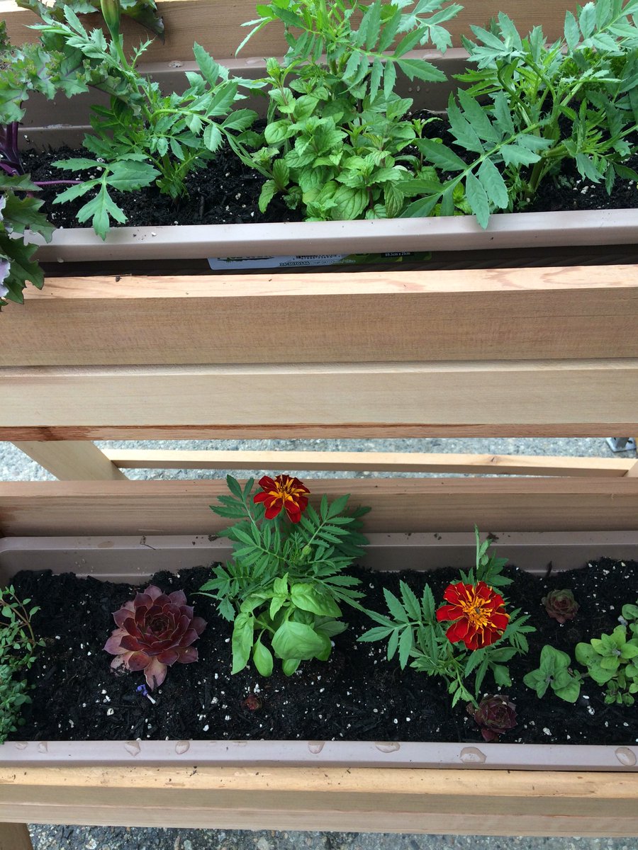 farmerbobkfcm's tweet photo. This Herb Garden can be yours if you know the secret word. Stop by the info booth,and fill out a entry for a chance to win. Open till 1 today.  @farmerbobkfcm @BCFarmersMarket @BuyLocalBC @HelloKelowna https://t.co/DDxJxgtElZ