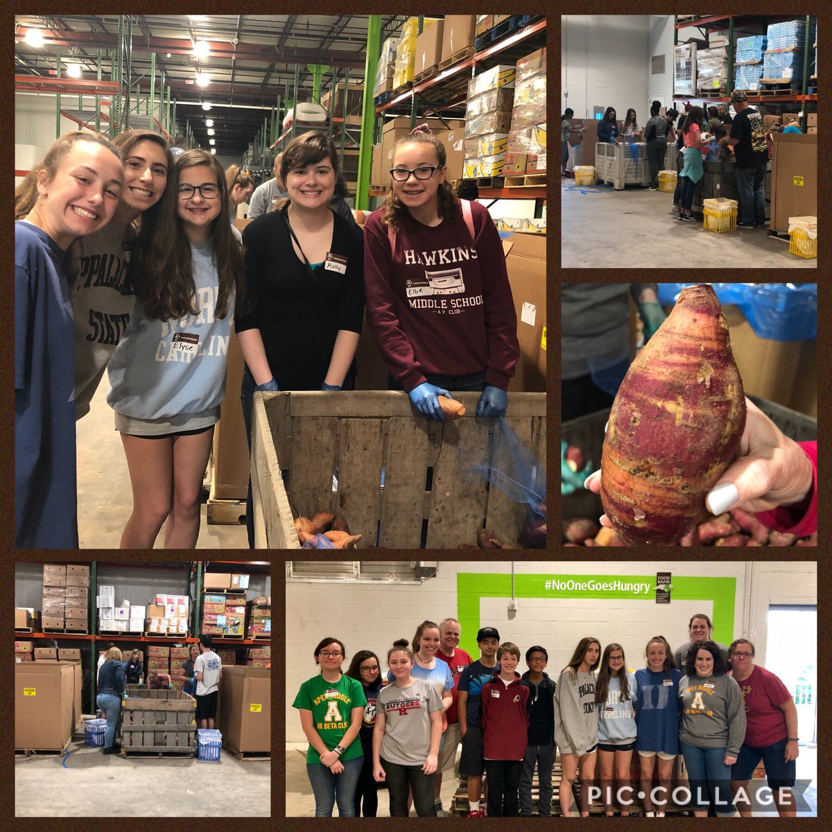 To cap off WCPSS’ Volunteer Week initiative, a great group of 25 students and families volunteered <a href="/foodbankCENC/">Food Bank of Central & Eastern North Carolina</a>. We helped sort over 27,000lbs of sweet potatoes this morning! We truly are the Peak of Great Giving (&amp; Great Service)! <a href="/apexmscougars/">Apex Middle School</a> <a href="/WCPSS/">Wake County Public School System</a> #NoOneGoesHungry