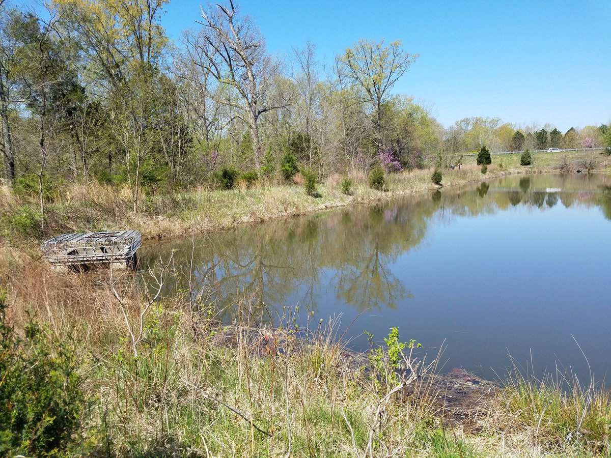 PHSRuriteens's tweet photo. An #ecofriendly way to spend a beautiful Saturday morning cleaning our local #waterways! The #Ruritan youth clubs joined for an #AdoptaStream event, focusing on #BroadRunCreekBristow! Our volunteers removed 1000s of pieces of trash and recyclables! #saveouroceansπ#plasticsucksπͺ https://t.co/p9P6CetpTQ