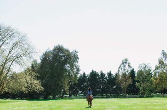 Mañanas de largas cabalgatas y el desayuno servido en el mismo ambiente en el que Fangio compartía con sus amigos y familiares. Te esperamos Estancia Fangio #Balcarce by <a href="/EsplendorH/">Esplendor Hoteles by Wyndham</a> 
bit.ly/1RmvHz6
#ViviConEsplendor
#ExperienciaEsplendor