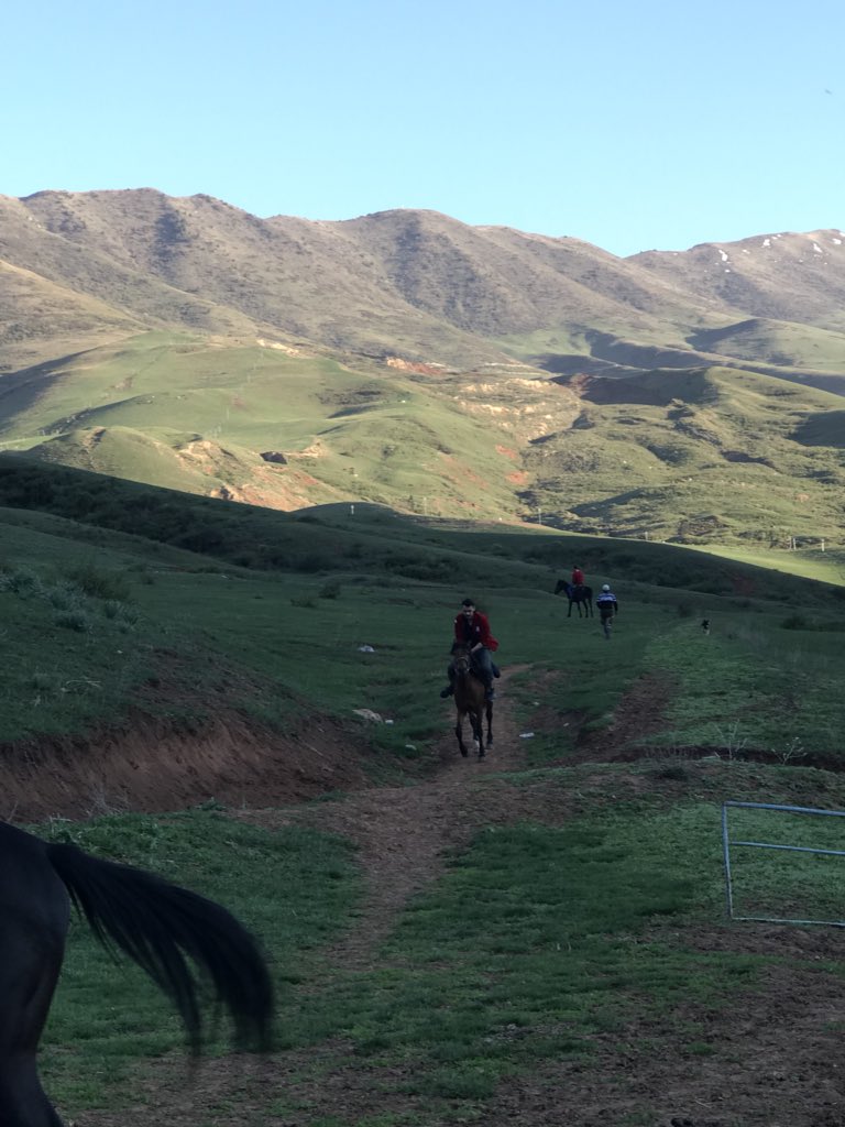 ofarukcaliskan's tweet photo. Dediler ki daha önce bindin mi? 
Dedim ki “men Türkem” 
Kenara çekil Avrupa dört nala geliyoruz :) 🐎🐎🇹🇷🇹🇷

#EYCM2018
#TRC https://t.co/MFeactlWGQ